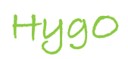 Logo des Projekts HyGO (Hydrogen & Oxygen Biotop Namibia)