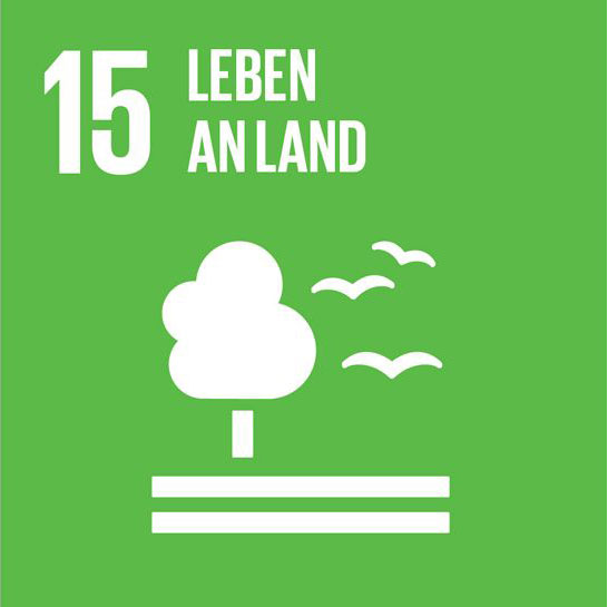 SDG 15 „Leben an Land“ – Nachhaltigkeitsziel der Vereinten Nationen