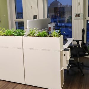 Moderner Arbeitsplatz im texulting-Büro Chemnitz mit Schreibtischen, Pflanzen und heller Bürogestaltung