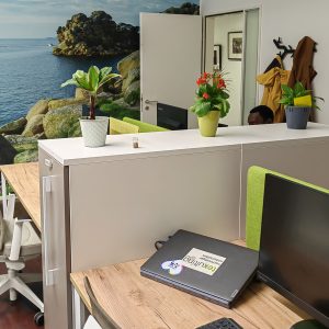 Arbeitsbereich im texulting-Büro Chemnitz mit Schreibtischen, Pflanzen und moderner Büroeinrichtung.