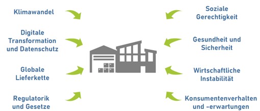 Infografik zur ESG-Risikobewertung: Einflussfaktoren wie Klimawandel, Lieferkette, Regulierung, soziale Gerechtigkeit und Gesundheit auf Unternehmen.