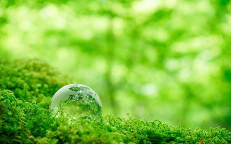 Glaskugel auf moosbedecktem Waldboden als Symbol für Nachhaltigkeit und ökologische Verantwortung bei Texulting